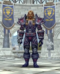 World of Warcraft Warrior Class